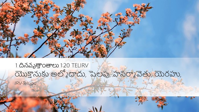 1 దినవృత్తాంతాలు 1:20 TELIRV Desktop Wallpaper - యొక్తానుకు - Desktop Bible Verse Wallpaper