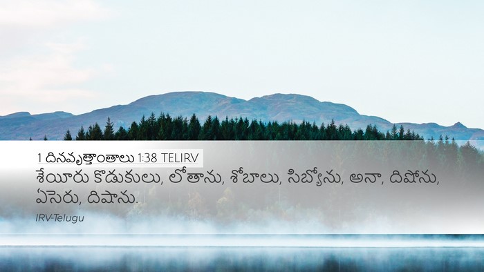 1 దినవృత్తాంతాలు 1:38 TELIRV Bible Verse Image