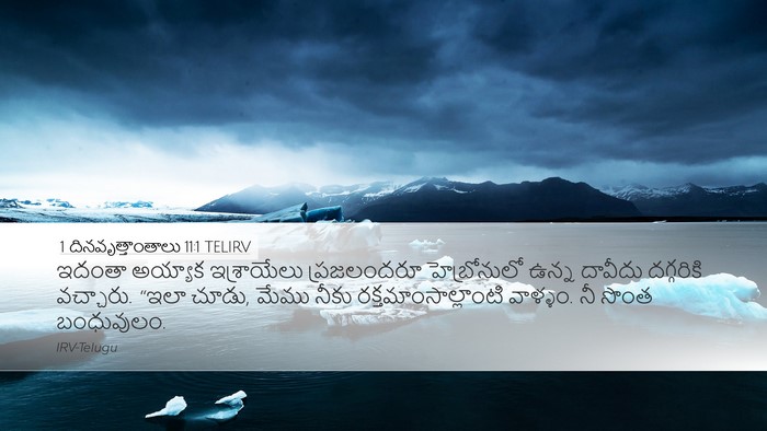 1 దినవృత్తాంతాలు 11:1 TELIRV Bible Verse Image