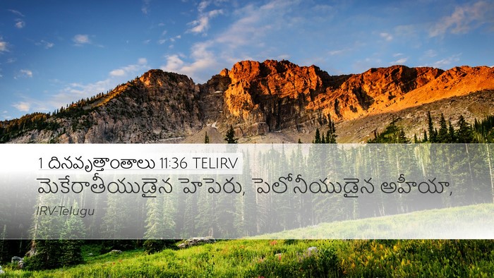 1 దినవృత్తాంతాలు 11:36 TELIRV Desktop Wallpaper - మెకేరాతీయుడైన - Desktop Bible Verse Wallpaper