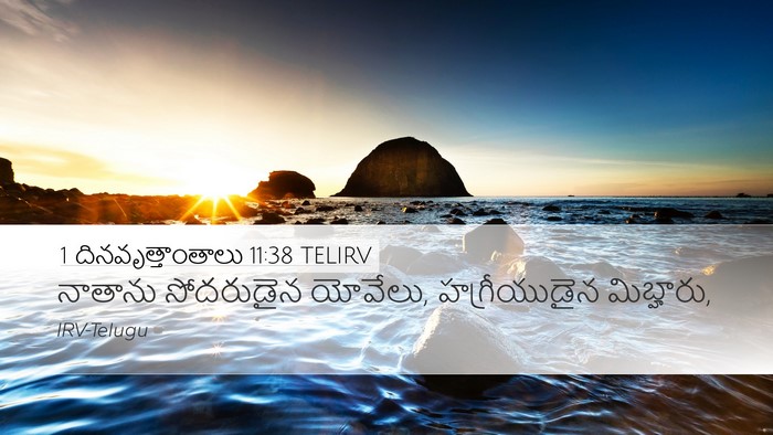 1 దినవృత్తాంతాలు 11:38 TELIRV Bible Verse Image