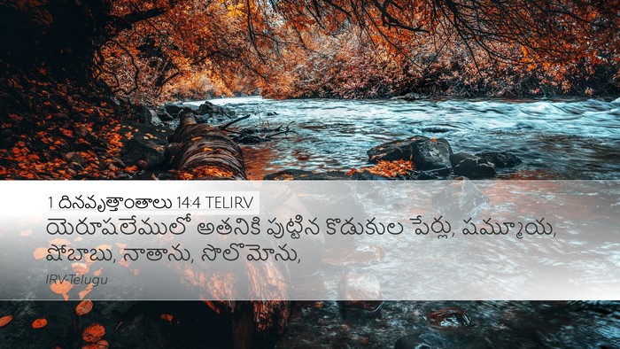 1 దినవృత్తాంతాలు 14:4 TELIRV Bible Verse Image