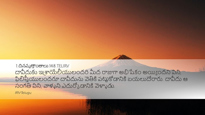 1 దినవృత్తాంతాలు 14:8 TELIRV Bible Verse Image