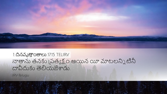1 దినవృత్తాంతాలు 17:15 TELIRV Bible Verse Image