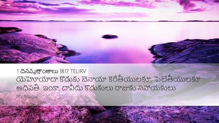 1 దినవృత్తాంతాలు 18:17 TELIRV Bible Verse Image