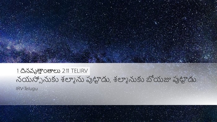 1 దినవృత్తాంతాలు 2:11 TELIRV Bible Verse Image