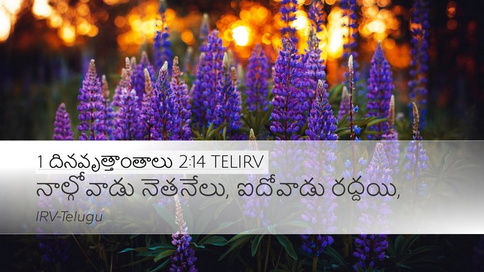 1 దినవృత్తాంతాలు 2:14 TELIRV Desktop Wallpaper - నాల్గోవాడు - Desktop Bible Verse Wallpaper
