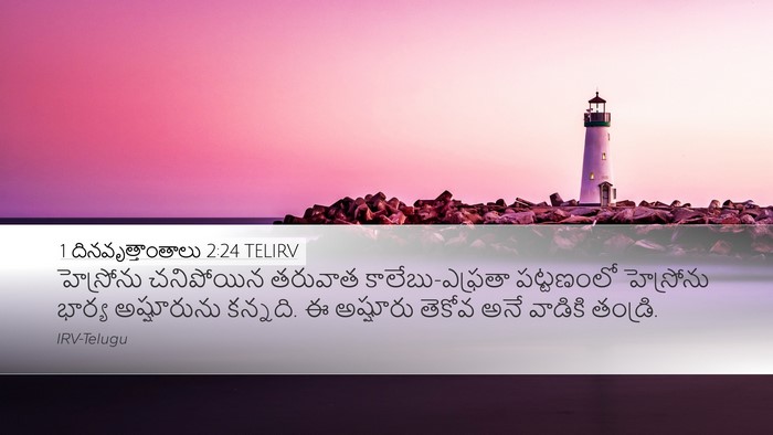 1 దినవృత్తాంతాలు 2:24 TELIRV Bible Verse Image