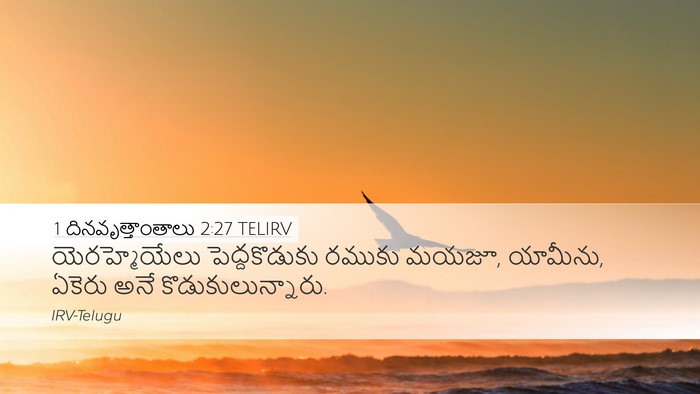 1 దినవృత్తాంతాలు 2:27 TELIRV Desktop Wallpaper - యెరహ్మెయేలు - Desktop Bible Verse Wallpaper