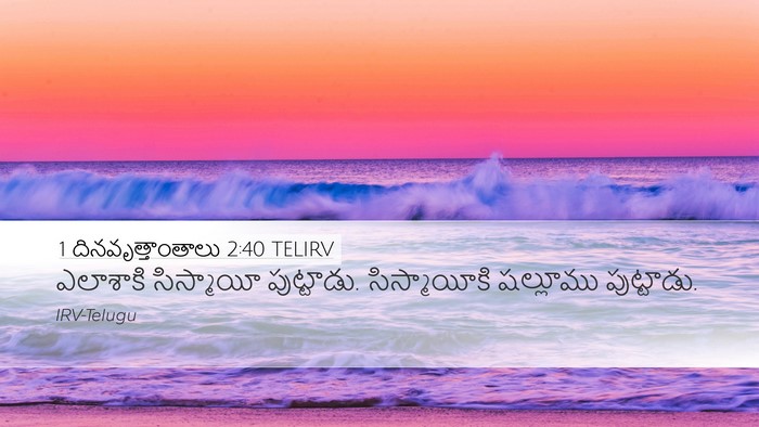 1 దినవృత్తాంతాలు 2:40 TELIRV Desktop Wallpaper - ఎలాశాకి సిస్మాయీ - Desktop Bible Verse Wallpaper