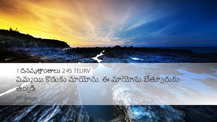 1 దినవృత్తాంతాలు 2:45 TELIRV Bible Verse Image