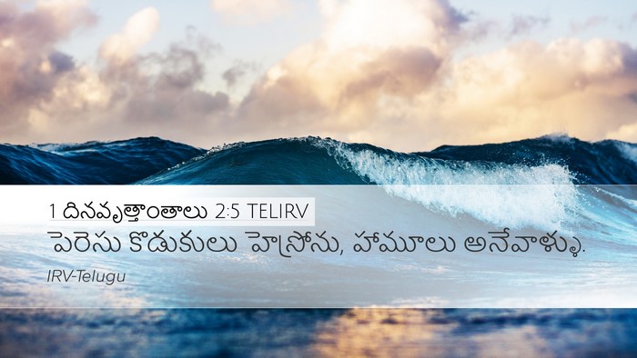 1 దినవృత్తాంతాలు 2:5 TELIRV Bible Verse Image