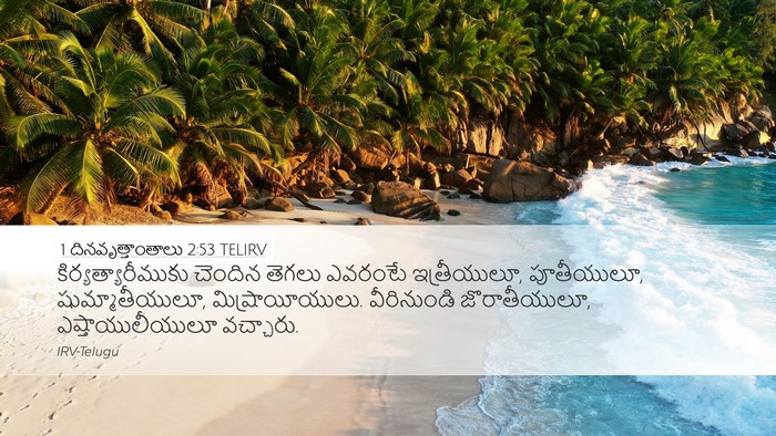1 దినవృత్తాంతాలు 2:53 TELIRV Bible Verse Image