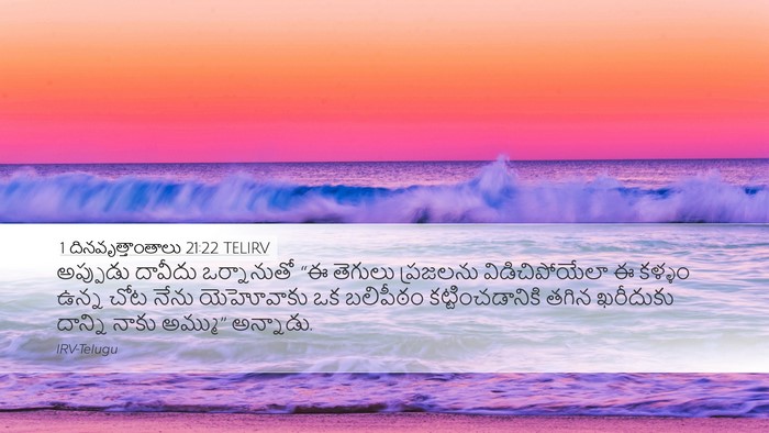 1 దినవృత్తాంతాలు 21:22 TELIRV Bible Verse Image