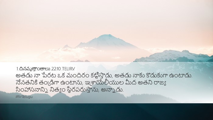 1 దినవృత్తాంతాలు 22:10 TELIRV Bible Verse Image