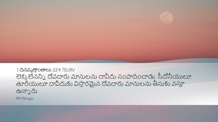 1 దినవృత్తాంతాలు 22:4 TELIRV Bible Verse Image
