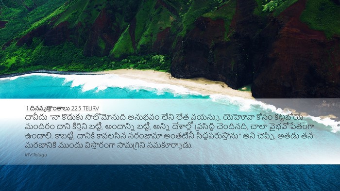 1 దినవృత్తాంతాలు 22:5 TELIRV Bible Verse Image