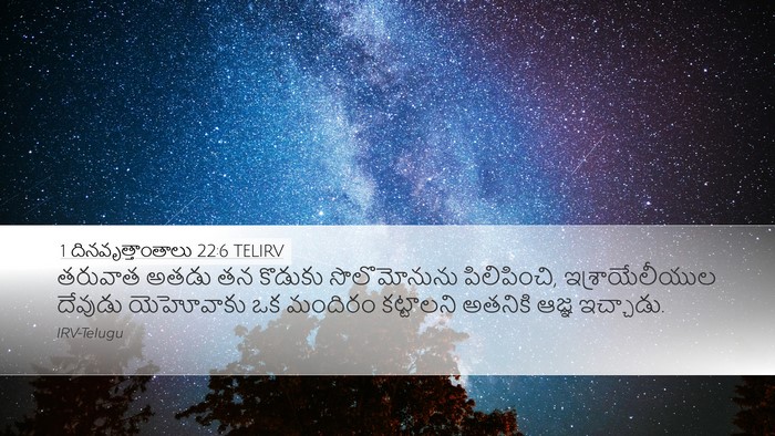 1 దినవృత్తాంతాలు 22:6 TELIRV Bible Verse Image