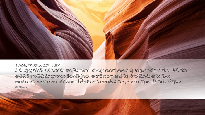 1 దినవృత్తాంతాలు 22:9 TELIRV Bible Verse Image