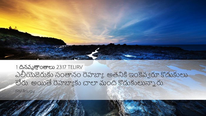 1 దినవృత్తాంతాలు 23:17 TELIRV Desktop Wallpaper - ఎలీయెజెరుకు - Desktop Bible Verse Wallpaper