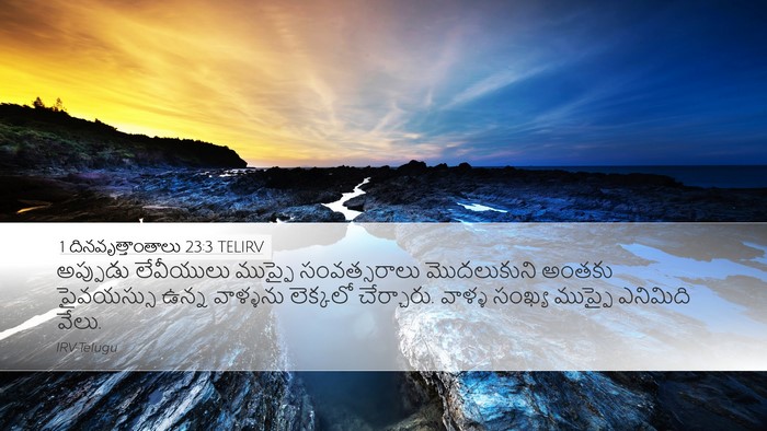 1 దినవృత్తాంతాలు 23:3 TELIRV Bible Verse Image