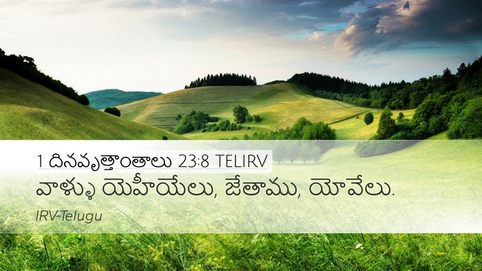 1 దినవృత్తాంతాలు 23:8 TELIRV Desktop Wallpaper - వాళ్ళు యెహీయేలు, - Desktop Bible Verse Wallpaper