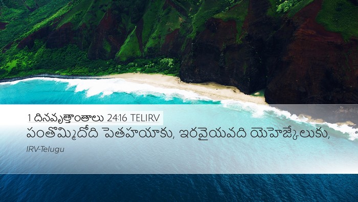 1 దినవృత్తాంతాలు 24:16 TELIRV Desktop Wallpaper - పంతొమ్మిదోది - Desktop Bible Verse Wallpaper