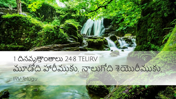 1 దినవృత్తాంతాలు 24:8 TELIRV Bible Verse Image