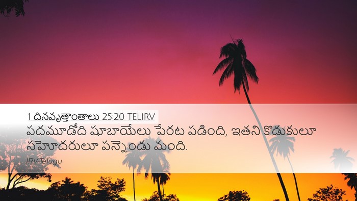 1 దినవృత్తాంతాలు 25:20 TELIRV Bible Verse Image
