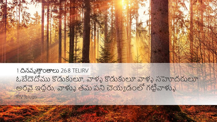 1 దినవృత్తాంతాలు 26:8 TELIRV Bible Verse Image