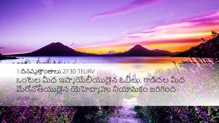 1 దినవృత్తాంతాలు 27:30 TELIRV Desktop Wallpaper - ఒంటెల మీద - Desktop Bible Verse Wallpaper