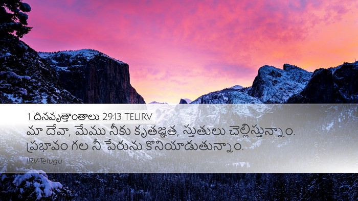 1 దినవృత్తాంతాలు 29:13 TELIRV Bible Verse Image