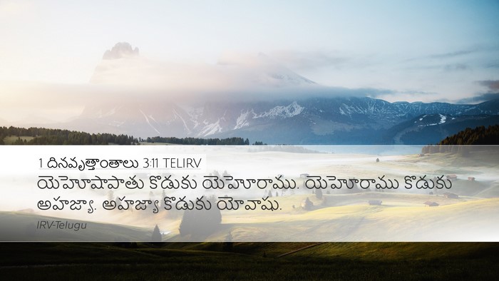 1 దినవృత్తాంతాలు 3:11 TELIRV Bible Verse Image