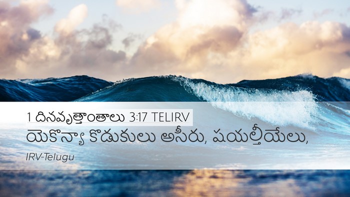 1 దినవృత్తాంతాలు 3:17 TELIRV Bible Verse Image