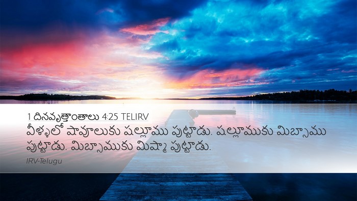 1 దినవృత్తాంతాలు 4:25 TELIRV Desktop Wallpaper - వీళ్ళలో షావూలుకు - Desktop Bible Verse Wallpaper