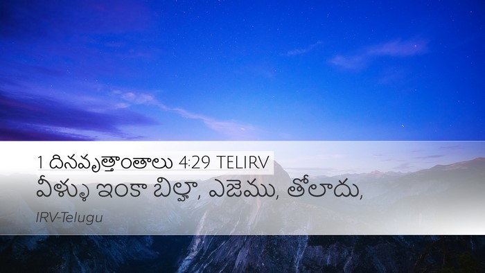 1 దినవృత్తాంతాలు 4:29 TELIRV Bible Verse Image