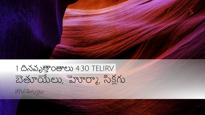 1 దినవృత్తాంతాలు 4:30 TELIRV Bible Verse Image