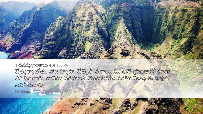 1 దినవృత్తాంతాలు 4:31 TELIRV Bible Verse Image