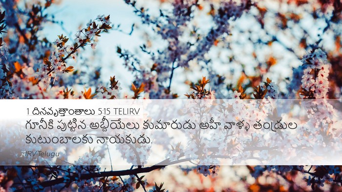 1 దినవృత్తాంతాలు 5:15 TELIRV Desktop Wallpaper - గూనీకి పుట్టిన - Desktop Bible Verse Wallpaper