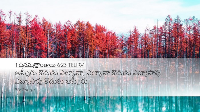 1 దినవృత్తాంతాలు 6:23 TELIRV Desktop Wallpaper - అస్సీరు కొడుకు - Desktop Bible Verse Wallpaper