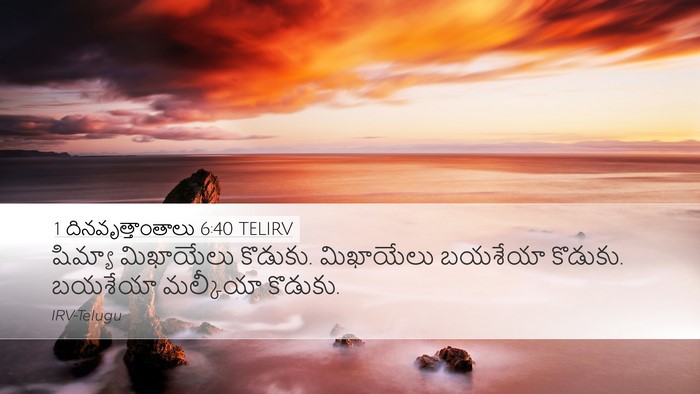 1 దినవృత్తాంతాలు 6:40 TELIRV Desktop Wallpaper - షిమ్యా మిఖాయేలు - Desktop Bible Verse Wallpaper