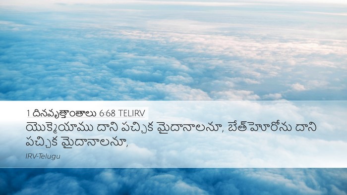 1 దినవృత్తాంతాలు 6:68 TELIRV Bible Verse Image