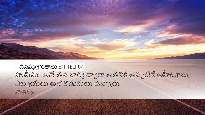 1 దినవృత్తాంతాలు 8:11 TELIRV Desktop Wallpaper - హుషీము అనే తన - Desktop Bible Verse Wallpaper