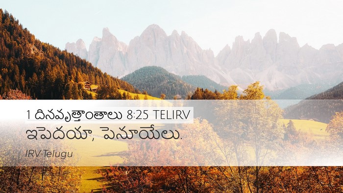 1 దినవృత్తాంతాలు 8:25 TELIRV Desktop Wallpaper - ఇపెదయా, - Desktop Bible Verse Wallpaper