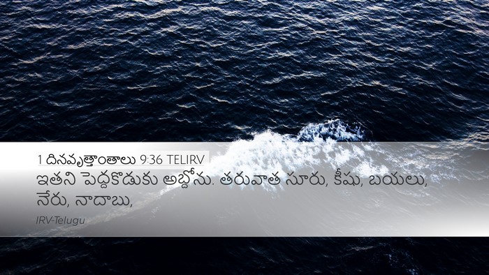 1 దినవృత్తాంతాలు 9:36 TELIRV Bible Verse Image