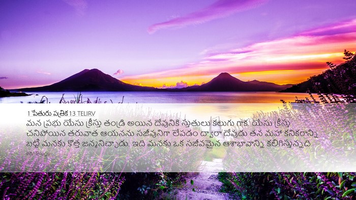1 పేతురు పత్రిక 1:3 TELIRV Bible Verse Image
