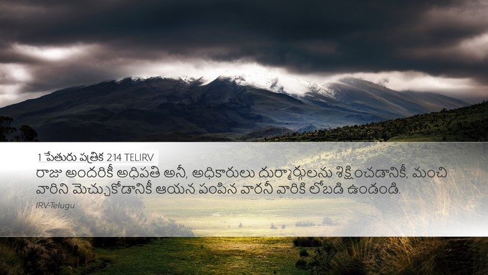 1 పేతురు పత్రిక 2:14 TELIRV Bible Verse Image