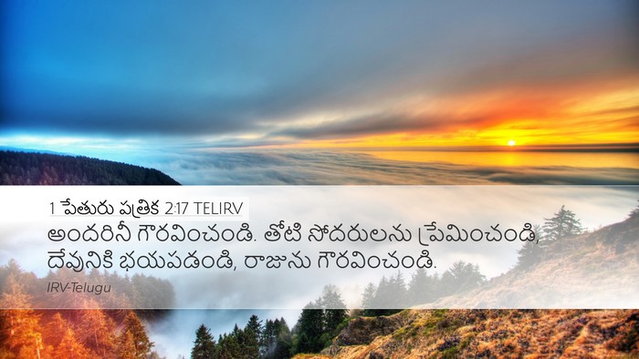 1 పేతురు పత్రిక 2:17 TELIRV Bible Verse Image