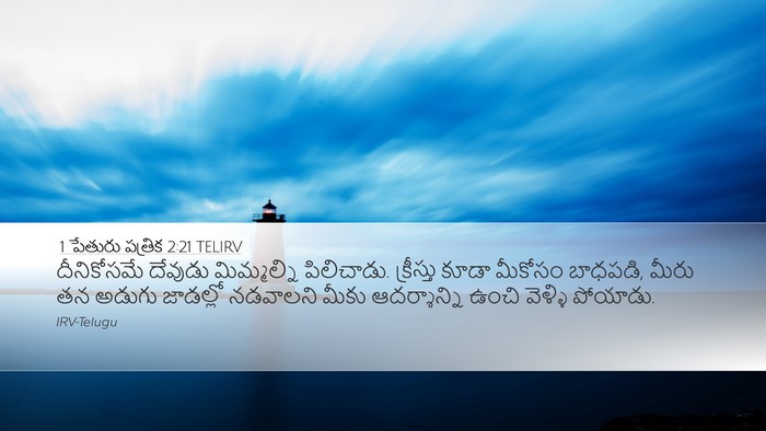 1 పేతురు పత్రిక 2:21 TELIRV Bible Verse Image