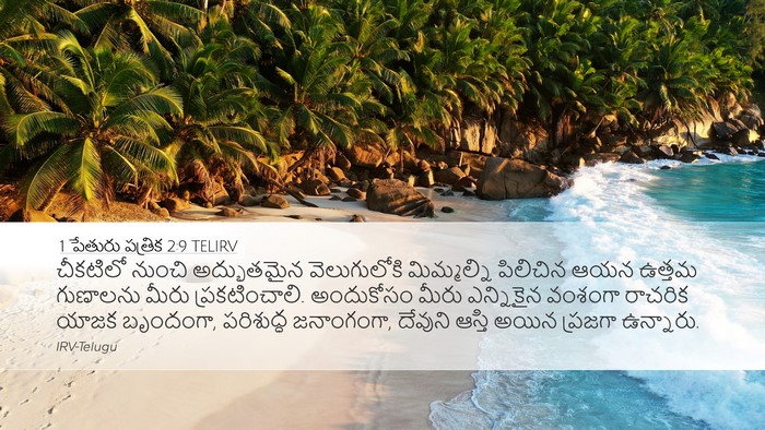 1 పేతురు పత్రిక 2:9 TELIRV Bible Verse Image